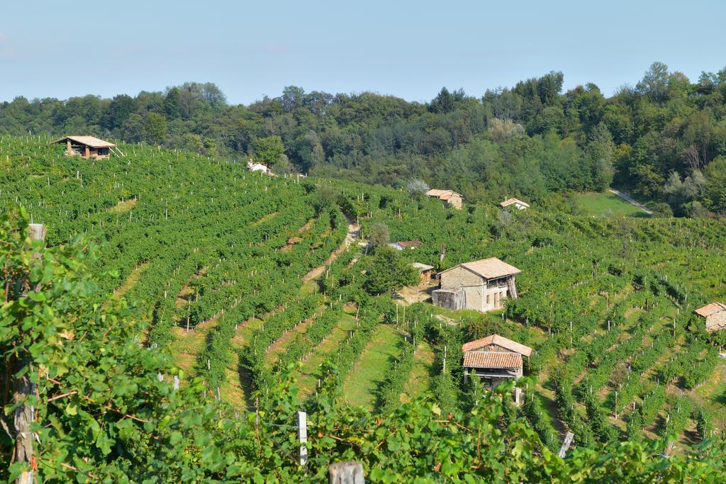 Agriturismo Crodi Miane Экстерьер фото